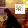 JOEP PELT - IT IS WHAT IT IS