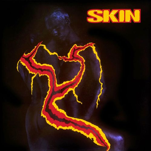 SKIN - DIGIPACK 3 CDS EDITION COLLECTOR